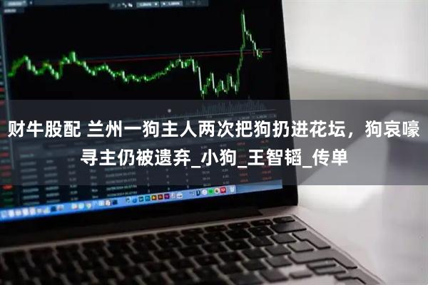 财牛股配 兰州一狗主人两次把狗扔进花坛，狗哀嚎寻主仍被遗弃_小狗_王智韬_传单