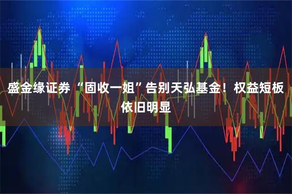 盛金缘证券 “固收一姐”告别天弘基金！权益短板依旧明显