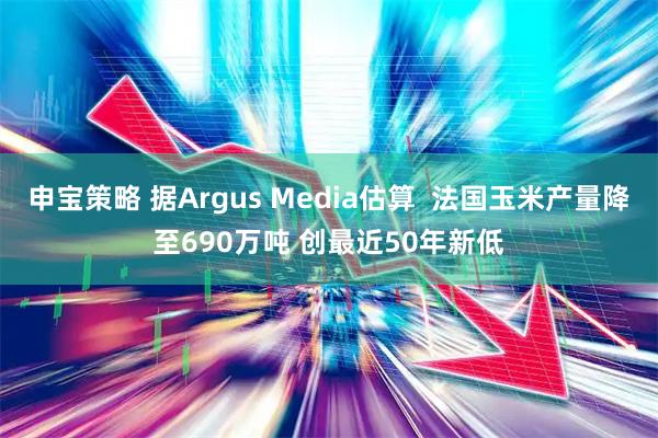 申宝策略 据Argus Media估算  法国玉米产量降至690万吨 创最近50年新低