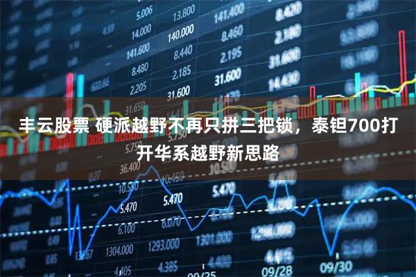 丰云股票 硬派越野不再只拼三把锁，泰钽700打开华系越野新思路
